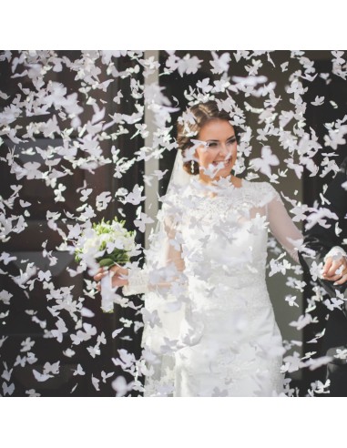 Cañón confetti mariposas blancas, 80 cm