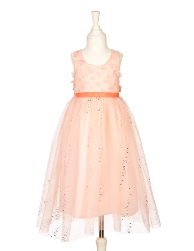 Disfraz vestido Evelyn de Souza Talla 5-7 años