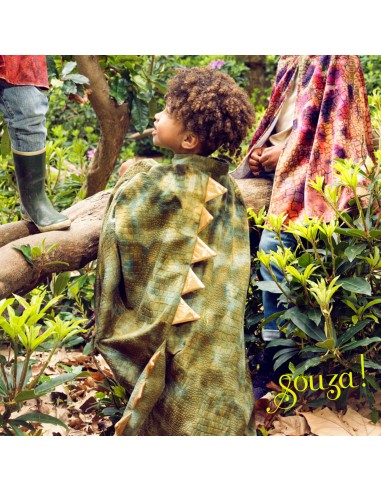 Disfraz capa dinosaurio Rex de Souza Talla 4-7...