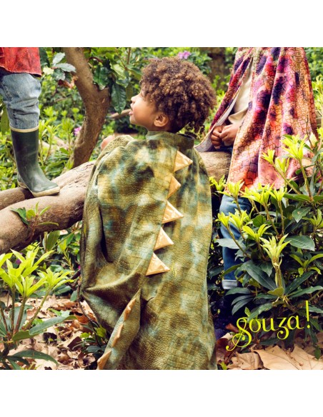 Disfraz capa dinosaurio Rex de Souza Talla 4-7 años