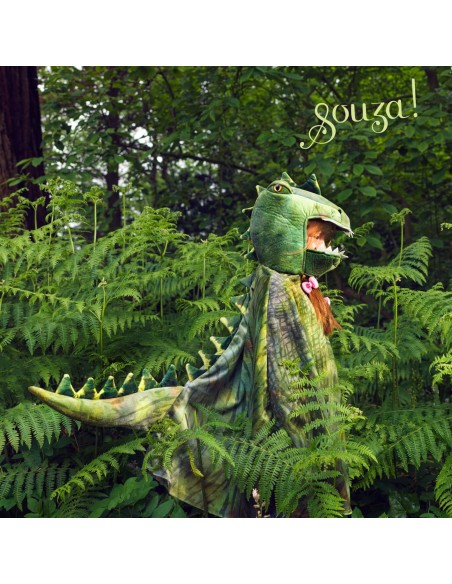 Disfraz capa dinosaurio Rex de Souza Talla 4-7 años