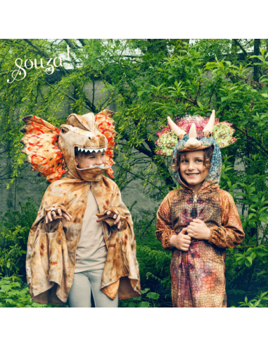 Disfraz triceratops de Souza Talla 5-7 años