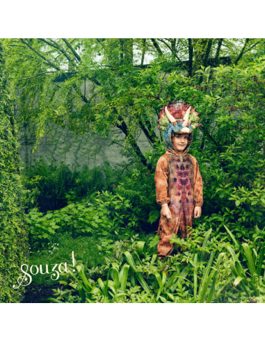 Disfraz triceratops de Souza Talla 5-7 años
